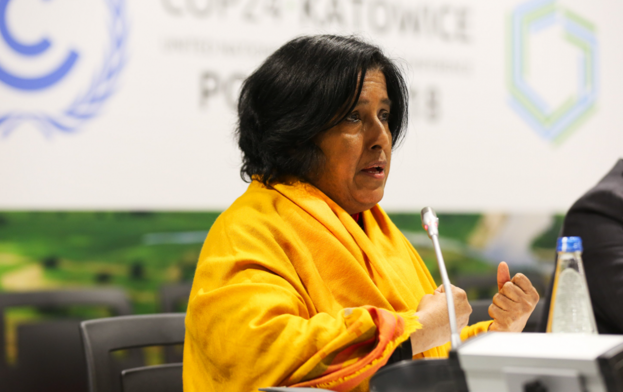 Sahabat Alam Malaysia president Meenaskhi Raman says that the PSI and PTMP are too lavish and thus, unfeasible. – Fossil Free University pic, June 17, 2021