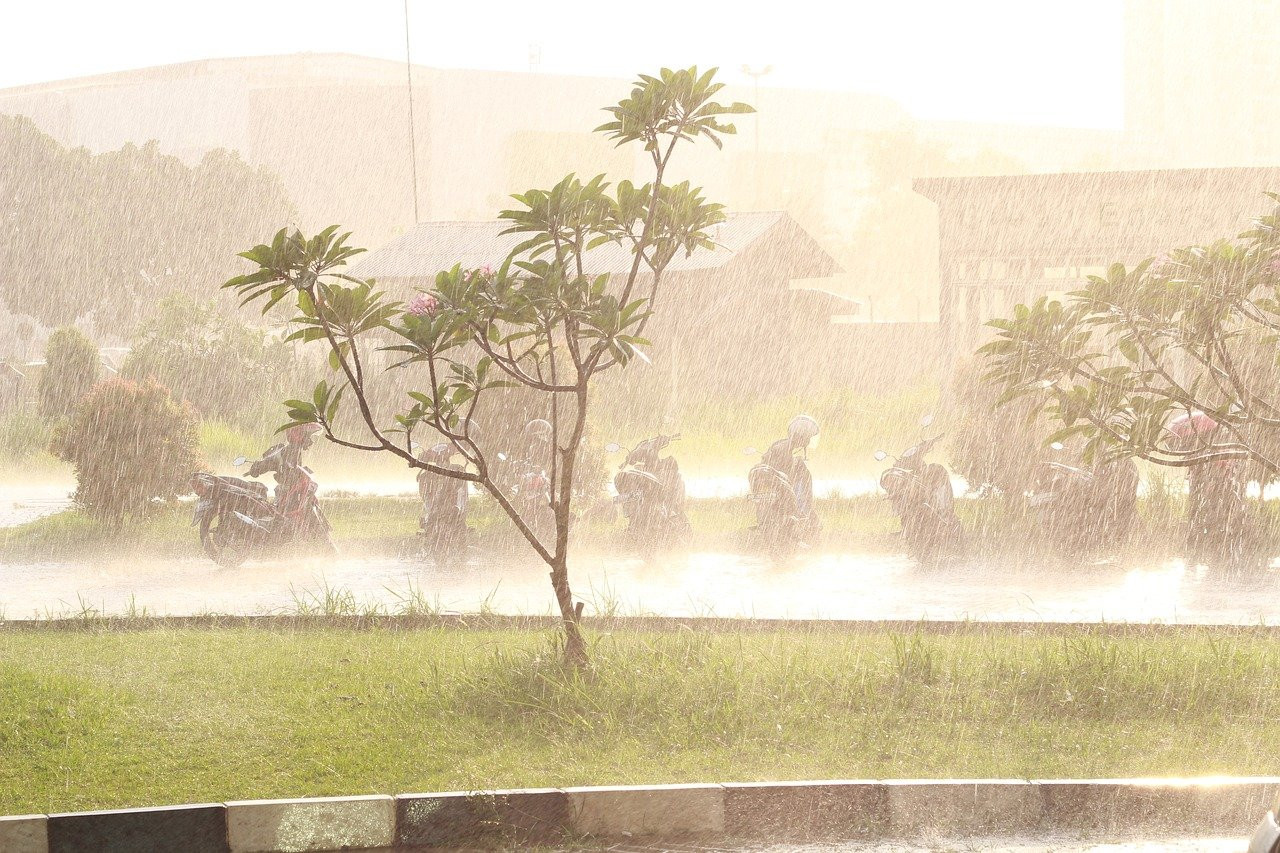 Malaysian Nature Society N. Nanda Kumar says that relevant Malaysian authorities are not as serious about rainwater harvesting when compared with other nations, including southern neighbour Singapore. – Pixabay pic, June 3, 2021
