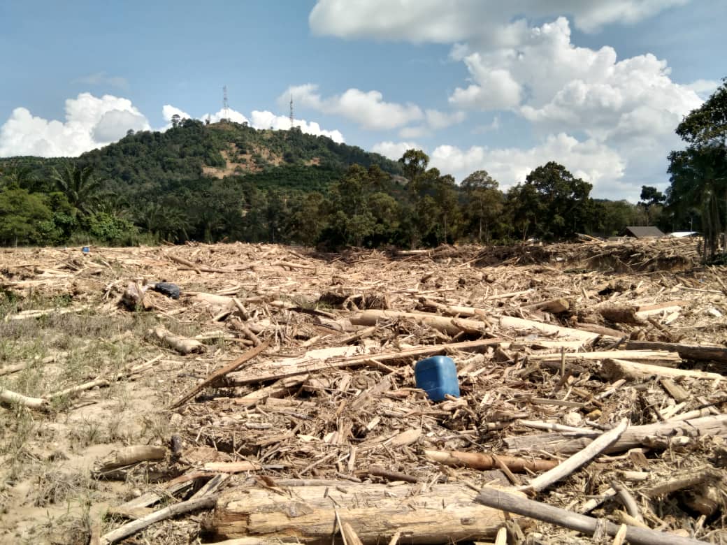 The Global Environment Centre alleges that large-scale logging on steep slopes have been taking place in the Central Forest Spine area of Pahang without Environmental Impact Assessments. – Global Environment Centre pic, December 28, 2021