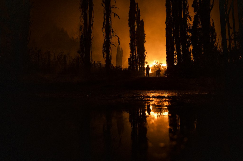'Glass Fire' damage to wine region laid bare 