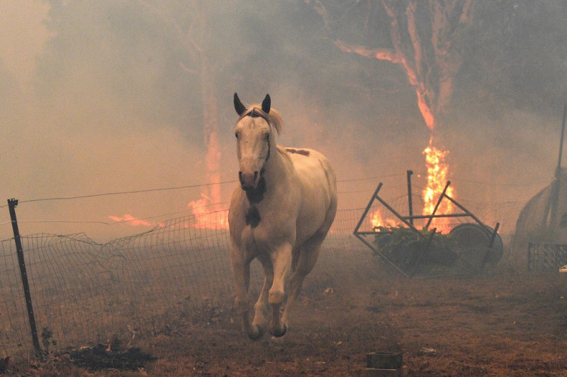 Climate change worsening Australia's extreme weather: scientists
