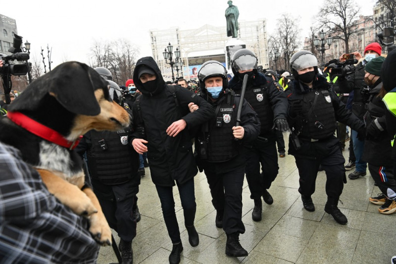 Russian police violence under review: prosecutors
