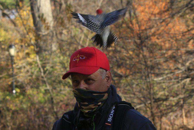 Birding is socially distanced New York's hottest hobby