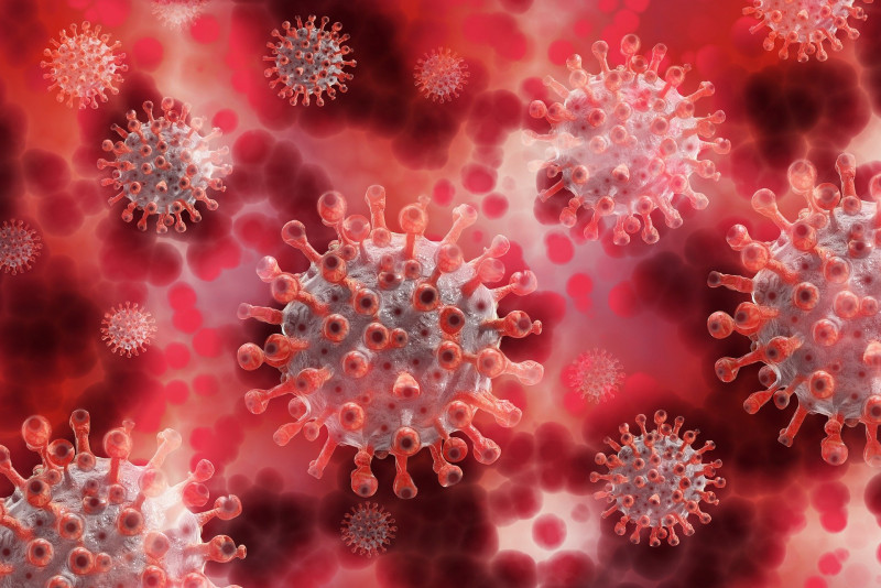 Japan says working to isolate, analyse new virus variant