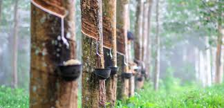 Rubber market advances at close