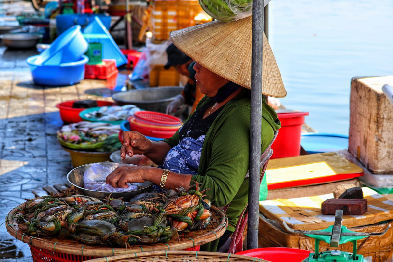 Vietnam emerges as attractive Asian destination for investors: The Economist