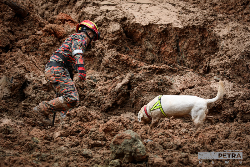 [PHOTOS] Search-and-rescue efforts press on through bad weather, soft earth