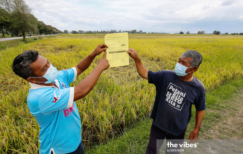1,000 Penang padi farmers protest against PPK seeds monopoly