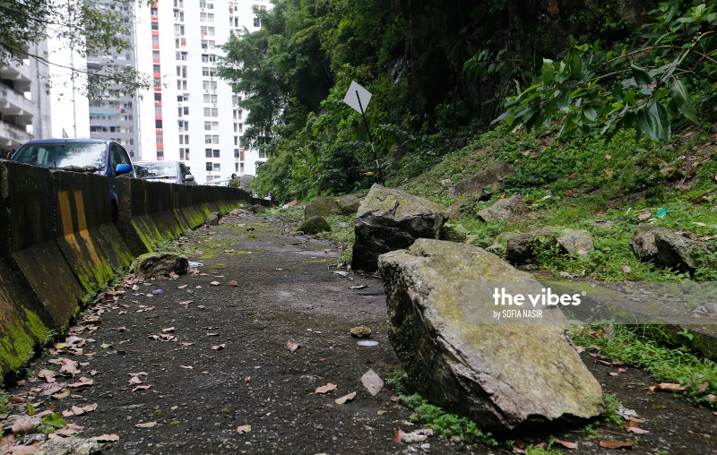 Penang to carry out geotechnical study, allaying landslide fears
