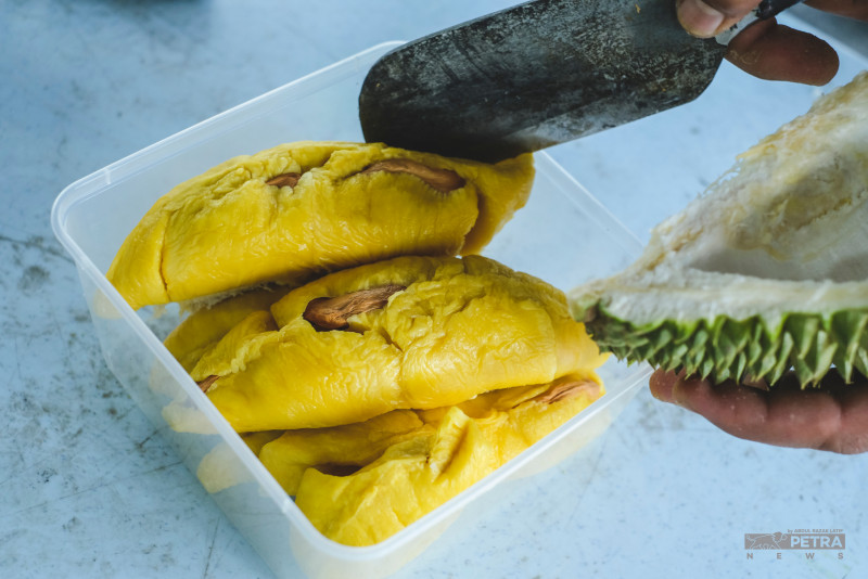 Musang King’s regal flavour ensures it still rules over newer variants