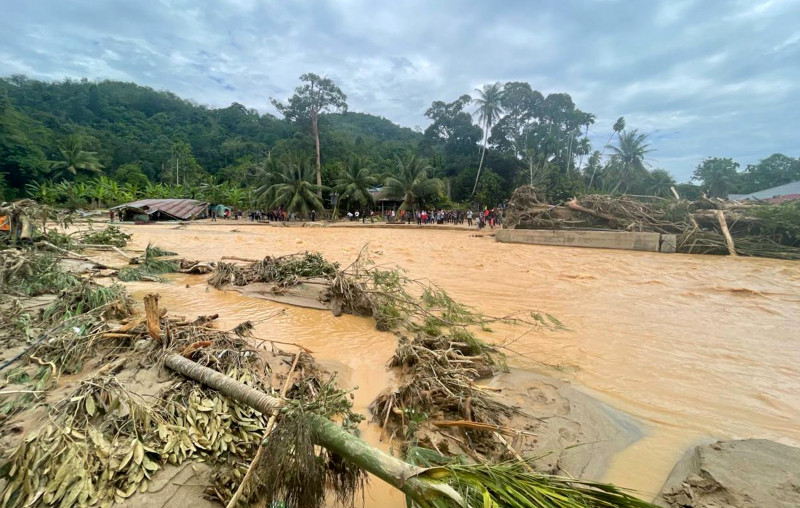 Baling floods: locals blame Musang King farm in Gunung Inas