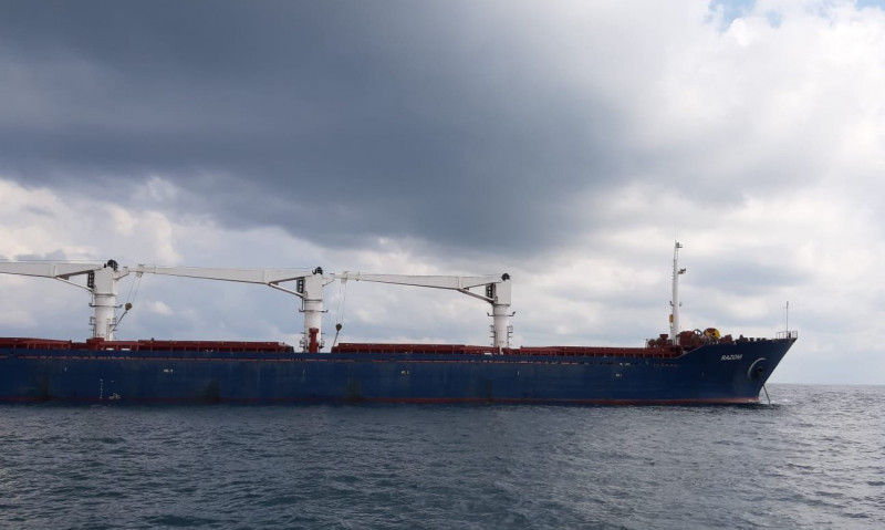 First Ukraine grain shipment’s arrival in Lebanon ‘postponed’
