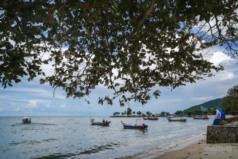 Human activities among possible factors in Teluk Bahang fish deaths: report
