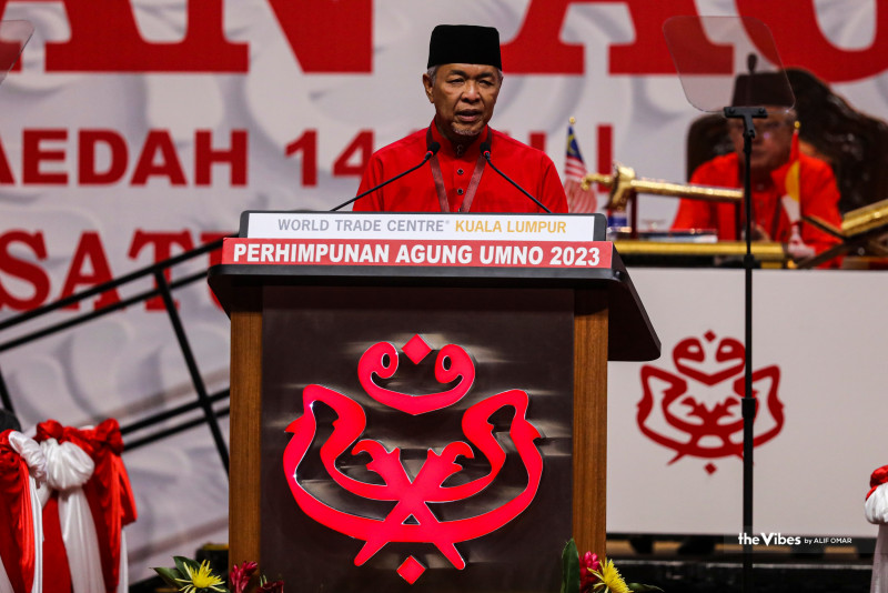 Disciplinary action a test of members’ love for Umno: Zahid