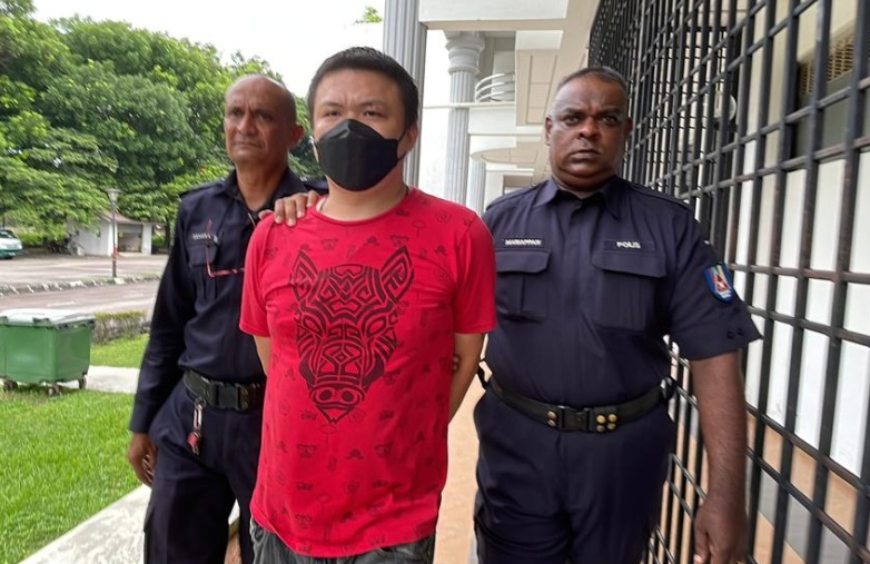 Lorry driver jailed a day, fined for making obscene gestures, dangerous driving (video)