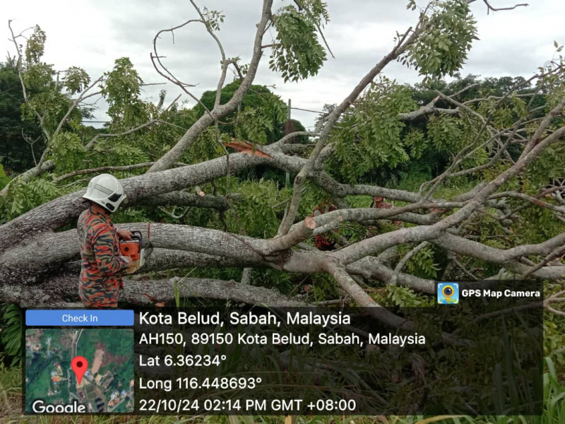 Fire department responds to 33 fallen tree incidents in Sabah amid storm warning