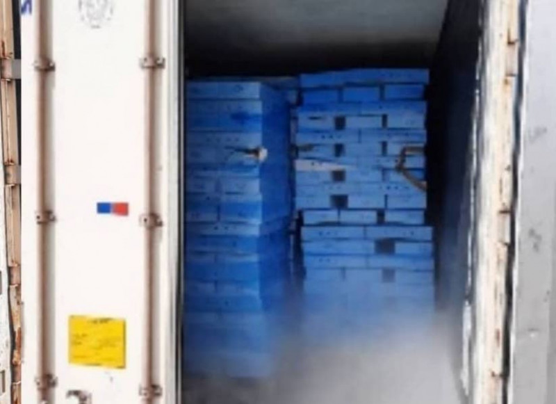 Over 25,000kg frozen fowl from Denmark seized