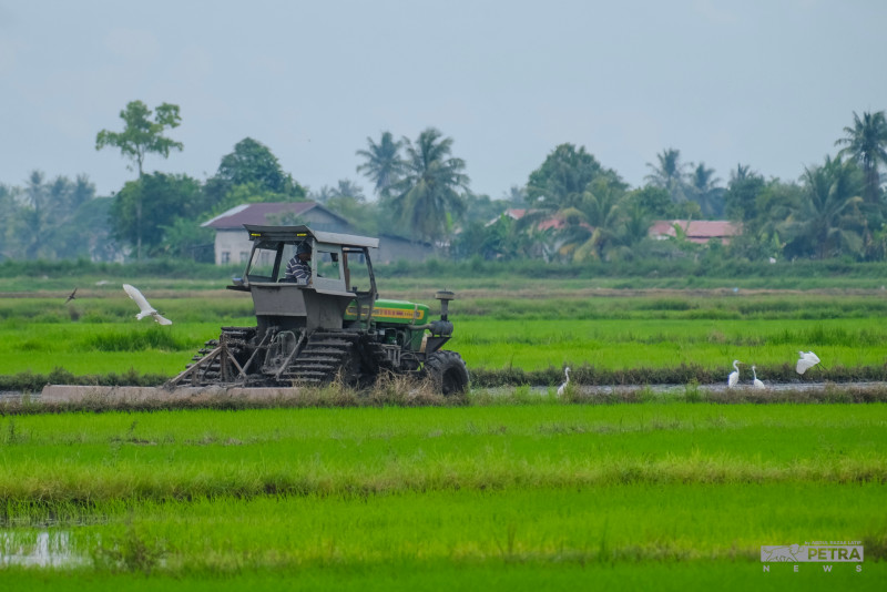 ‘Kedah a prize catch due to swing state status’