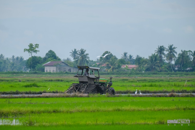 Budget 2023: Bernas to share 30% of rice import net profits with farmers