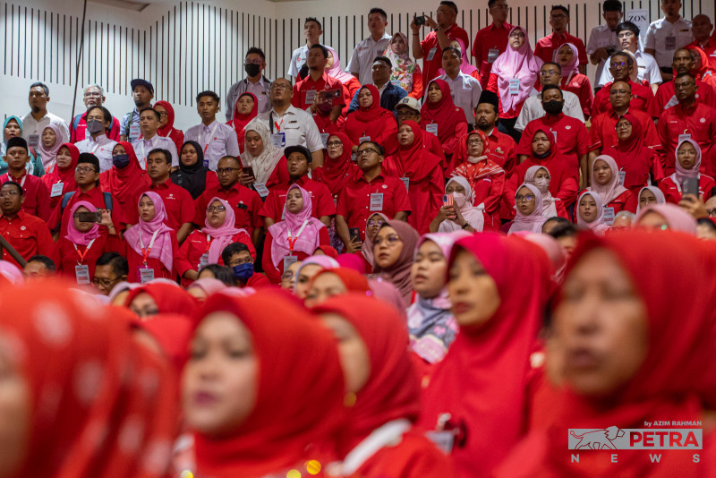 Presidential election allows party’s democracy to flourish: Umno grassroots  