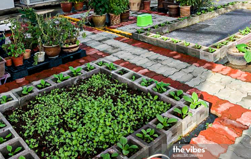 Extra RM1 mil for urban farming in Penang: Agriculture Ministry