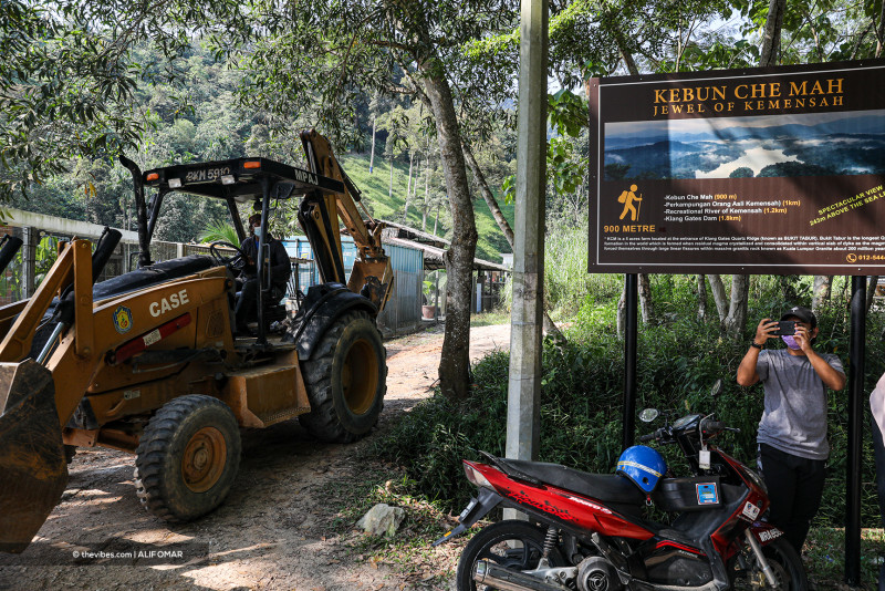 [UPDATED] Forest clearing atop treasured Bukit Tabur riles environmentalists, hikers