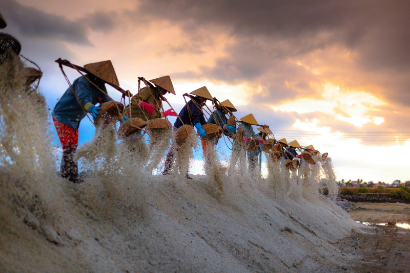 ‘Vietnam expected to mount strong recovery next year’ 