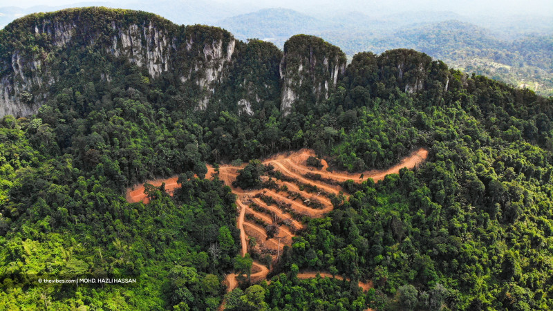 Bukit Tabur clearing not done by the book: DoE
