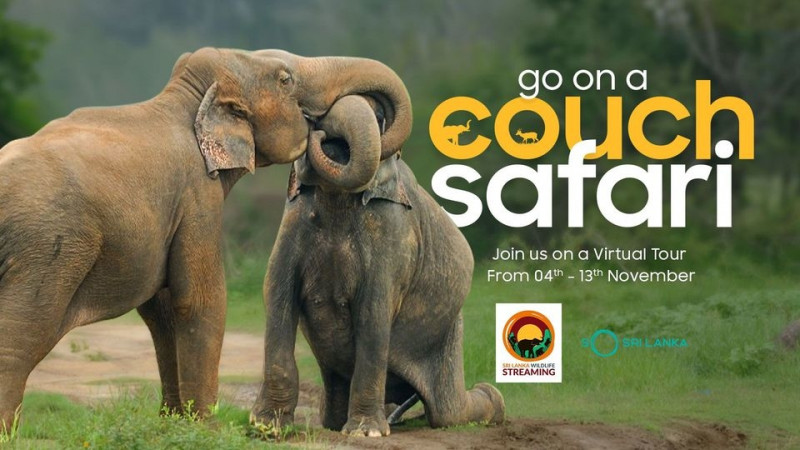 Sign up for a couch safari of Sri Lanka