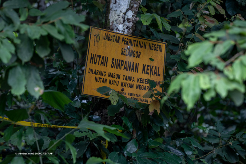 Fulfil election promise on environment, green outfit tells Pakatan-led govt