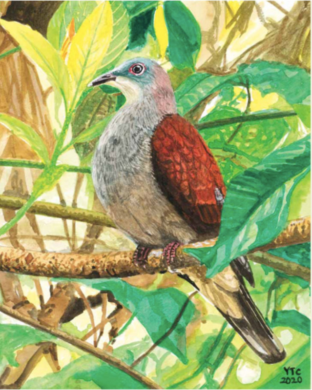 A painter’s love for nature 