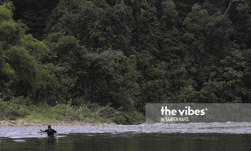 Dramatic environmental crusades: The Vibes’ first year in review 