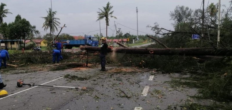 Pantai Morib closed to public until July 2