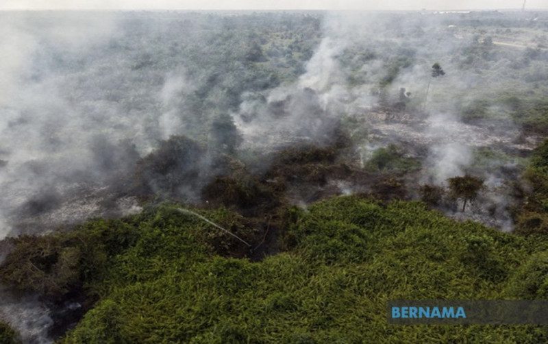 Sarawak bans open burning as forest fires spread