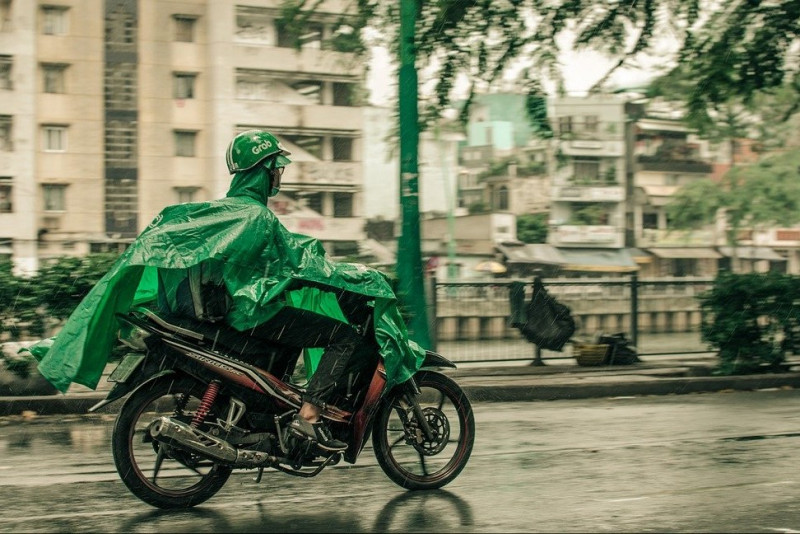 Food delivery rider dies after hit by falling tree branch