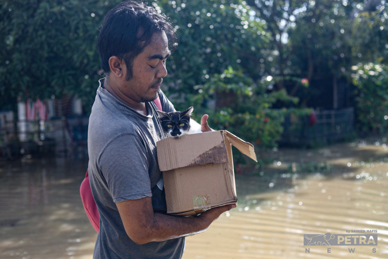 Imminent environmental destruction: groups urge PM10 to declare climate emergency