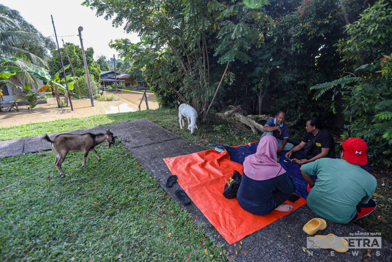 3,546 victims in seven states still affected by floods, says Nadma