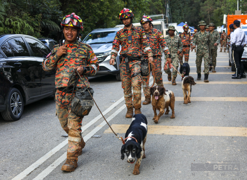 Batang Kali landslide: search for missing nine goes on