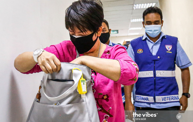 Penang woman charged with killing 2 cats