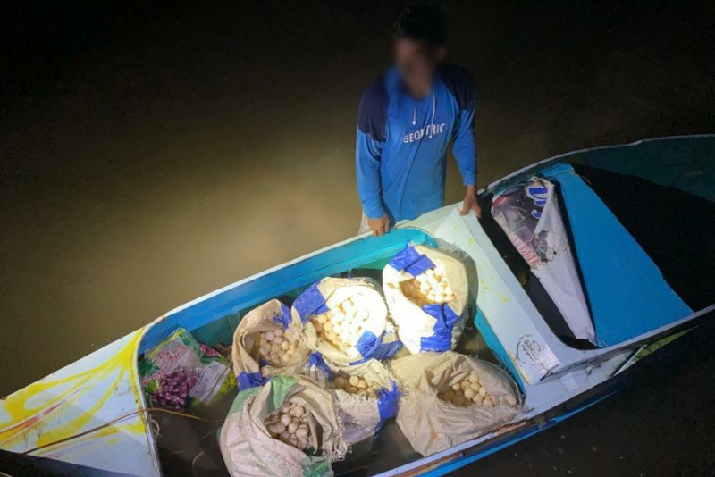Filipino tries to smuggle 3,000 turtle eggs into Sandakan