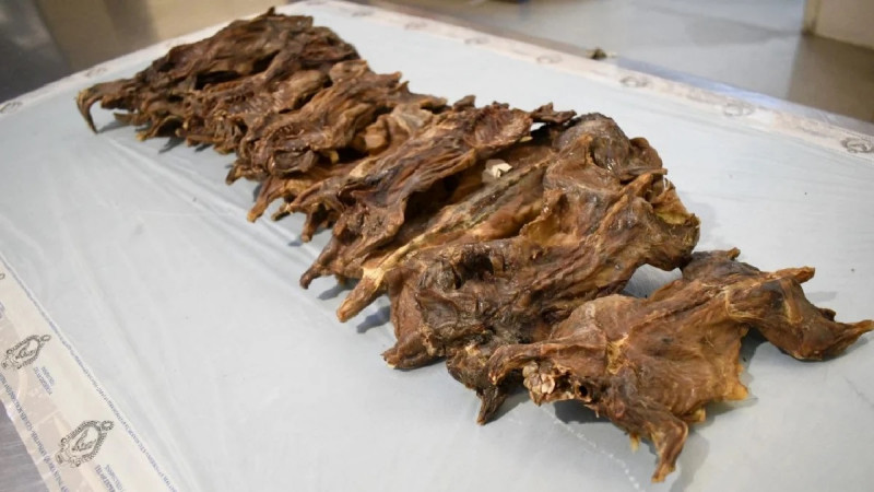 Penang Maqis seizes 10kg of smoked rats from Vietnam 