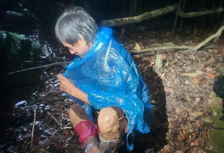 Hiker lost in Gunung Pulai near Skudai safe: Johor Forestry Dept