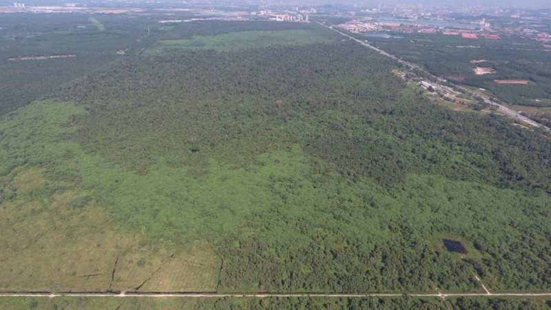 Keep Kuala Langat forest reserve as it is, say green groups