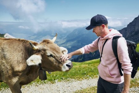 From goats and cows to alpacas, meet the latest stress-busting therapy animals