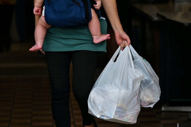Ban plastic bags, not raise prices, says green group