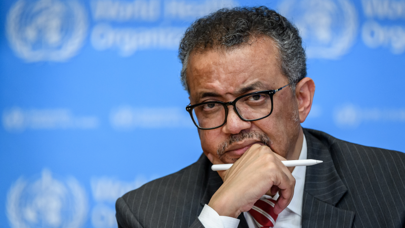 Gaza facing man-made 'mass starvation', says WHO's Tedros