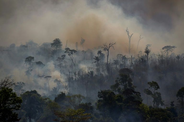 Thousands take to streets of Belem as COP30 reaches midway