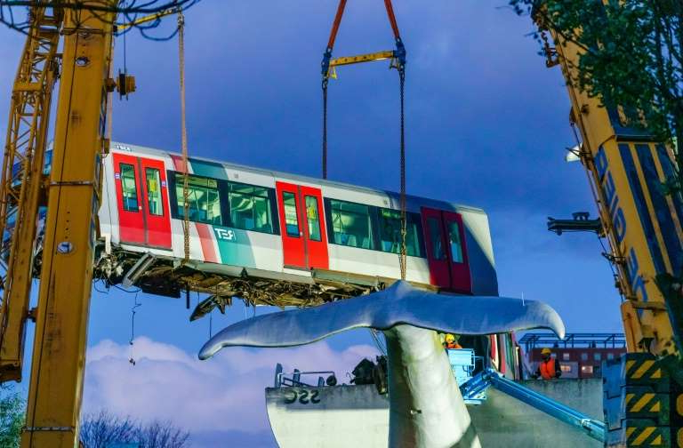 Job whale done as Dutch train lifted to safety