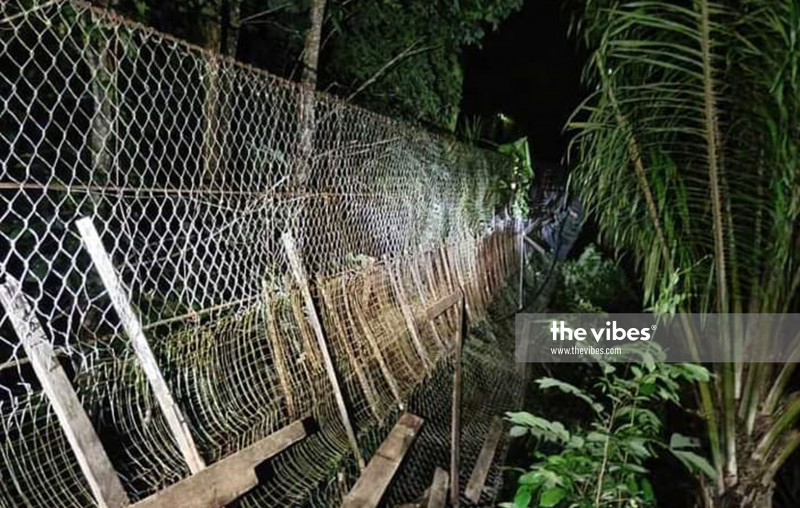Sabah pupils searching for internet access hurt after bridge gives way 