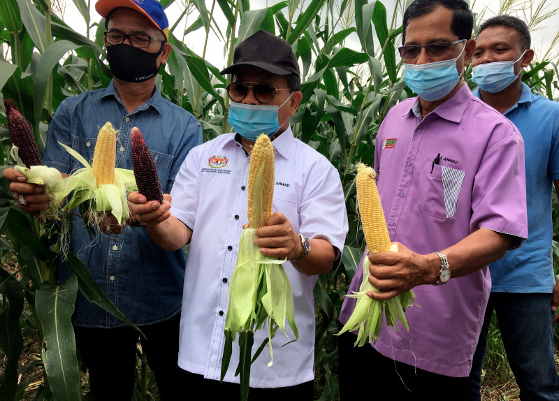 RM170 mil pumped into Young Agropreneur programme since 2016: caretaker minister